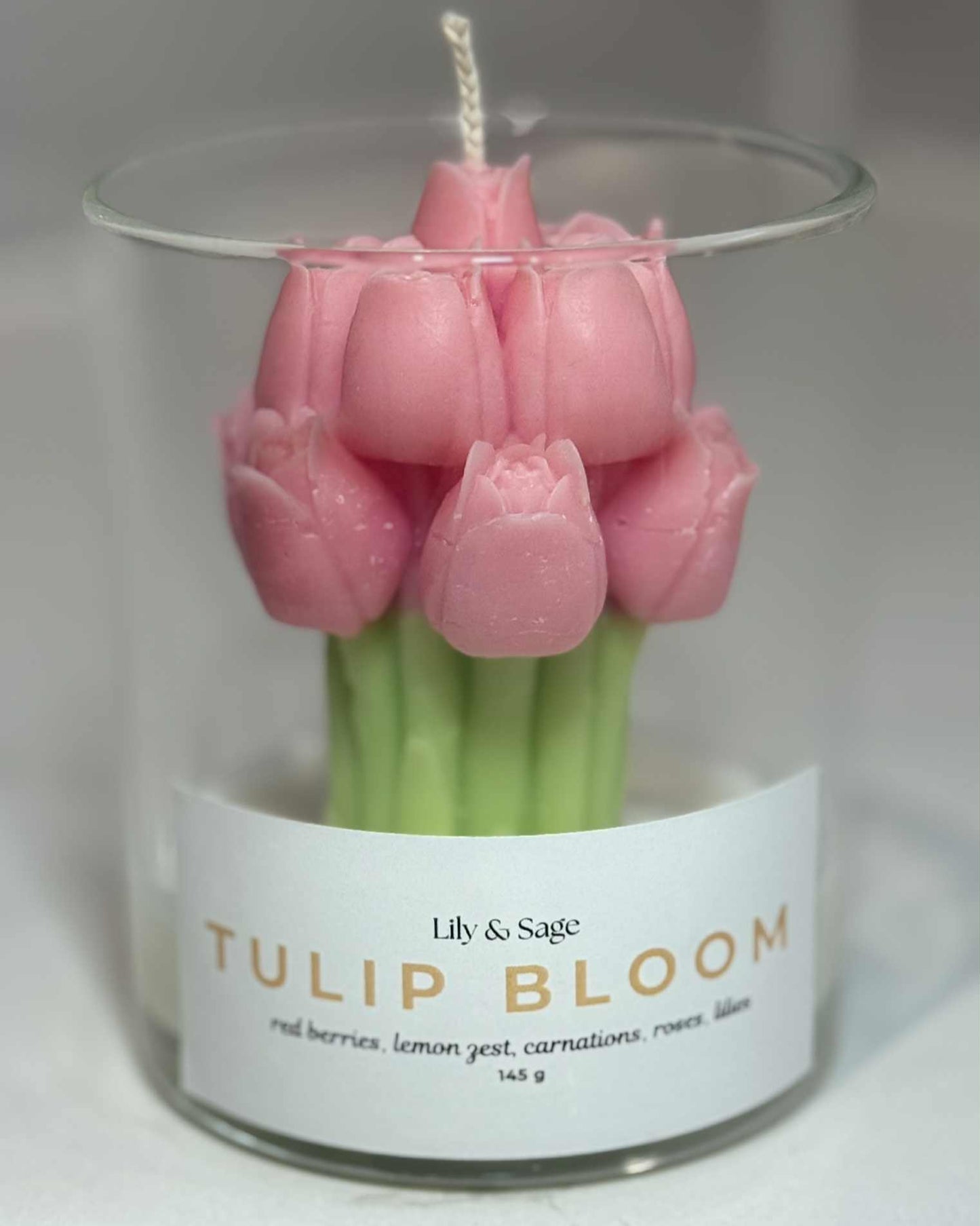 Pink Tulip Bloom
