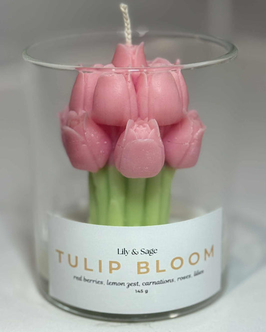 Pink Tulip Bloom