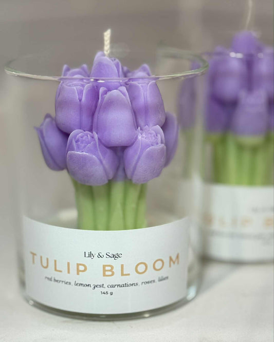Purple Tulip Bloom