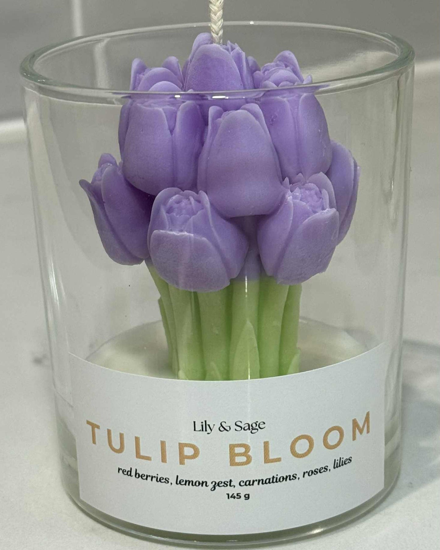 Purple Tulip Bloom