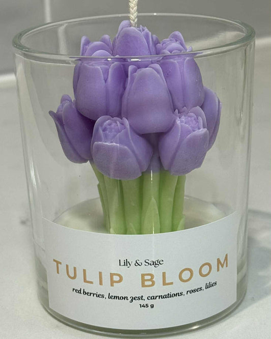 Purple Tulip Bloom