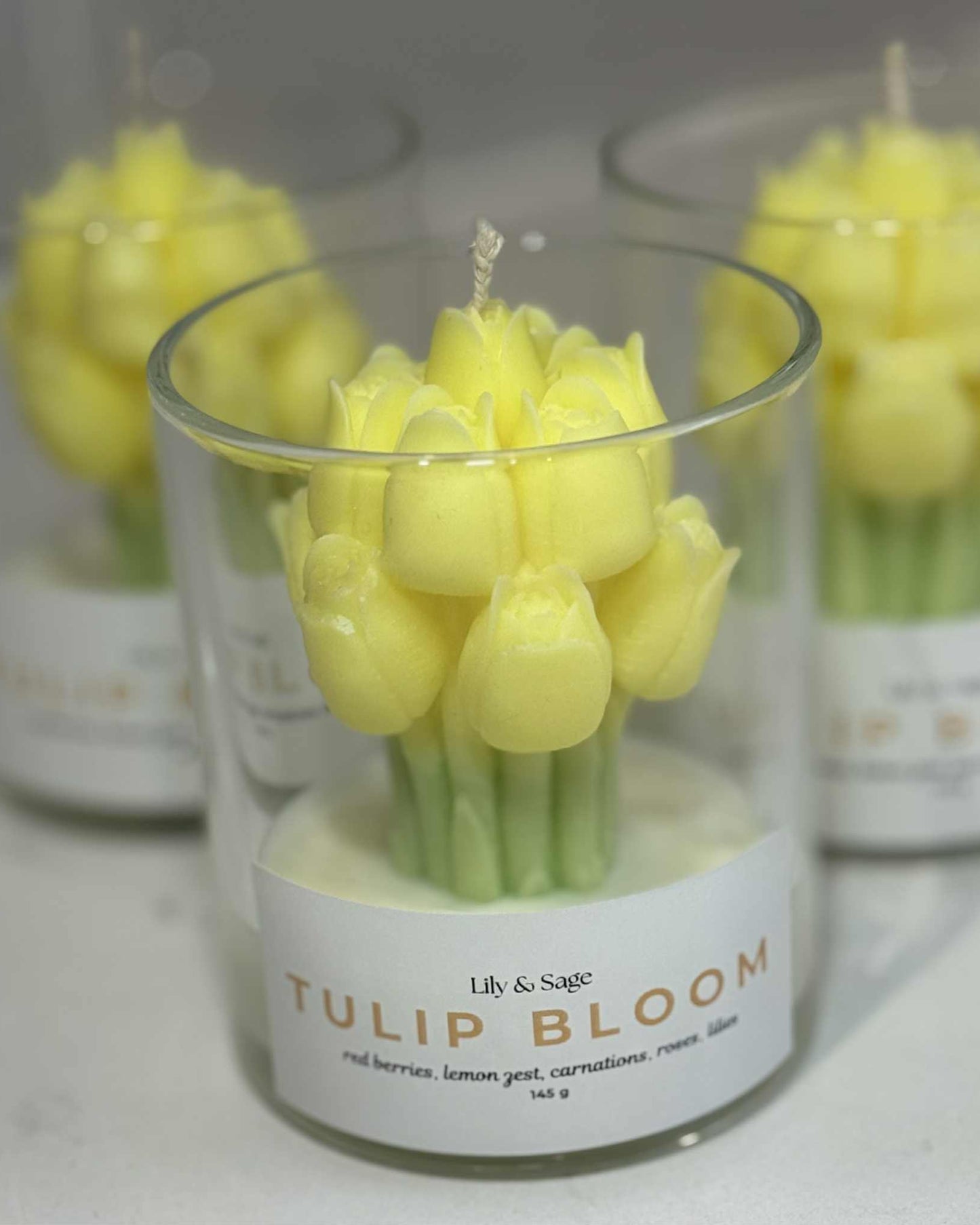 Yellow Tulip Bloom